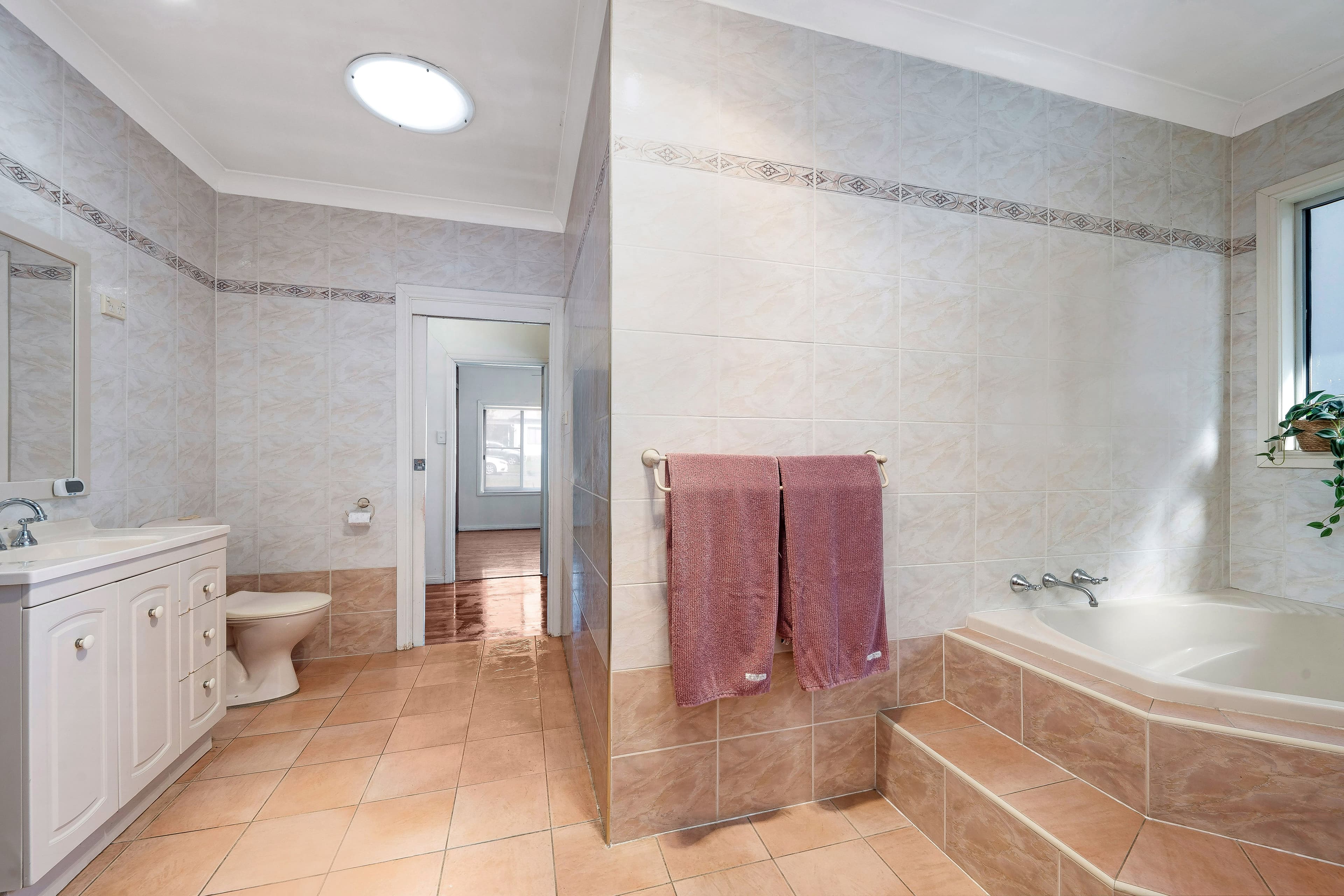 28 Clack Road, Chester Hill NSW 2162, Chester Hill - Thumbnail 8