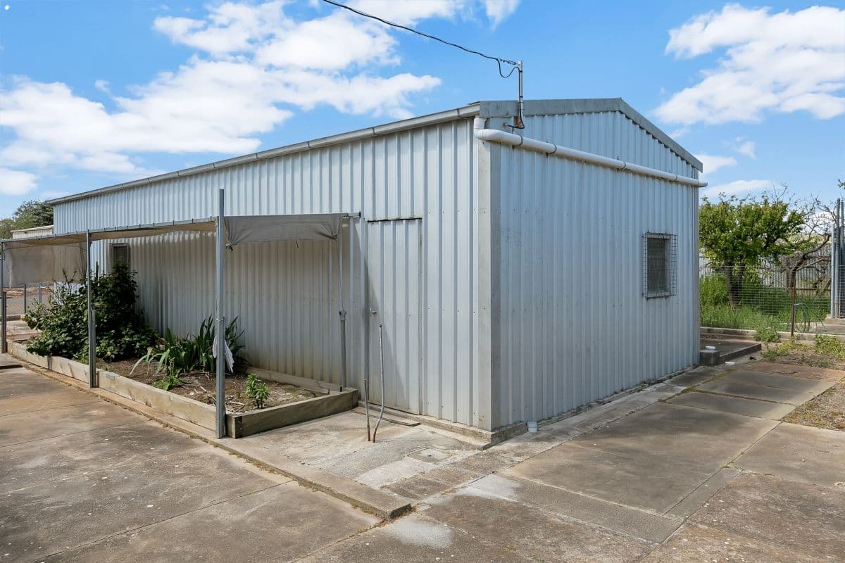 1 Auguste Street, Nuriootpa SA 5355, Nuriootpa - Thumbnail 8