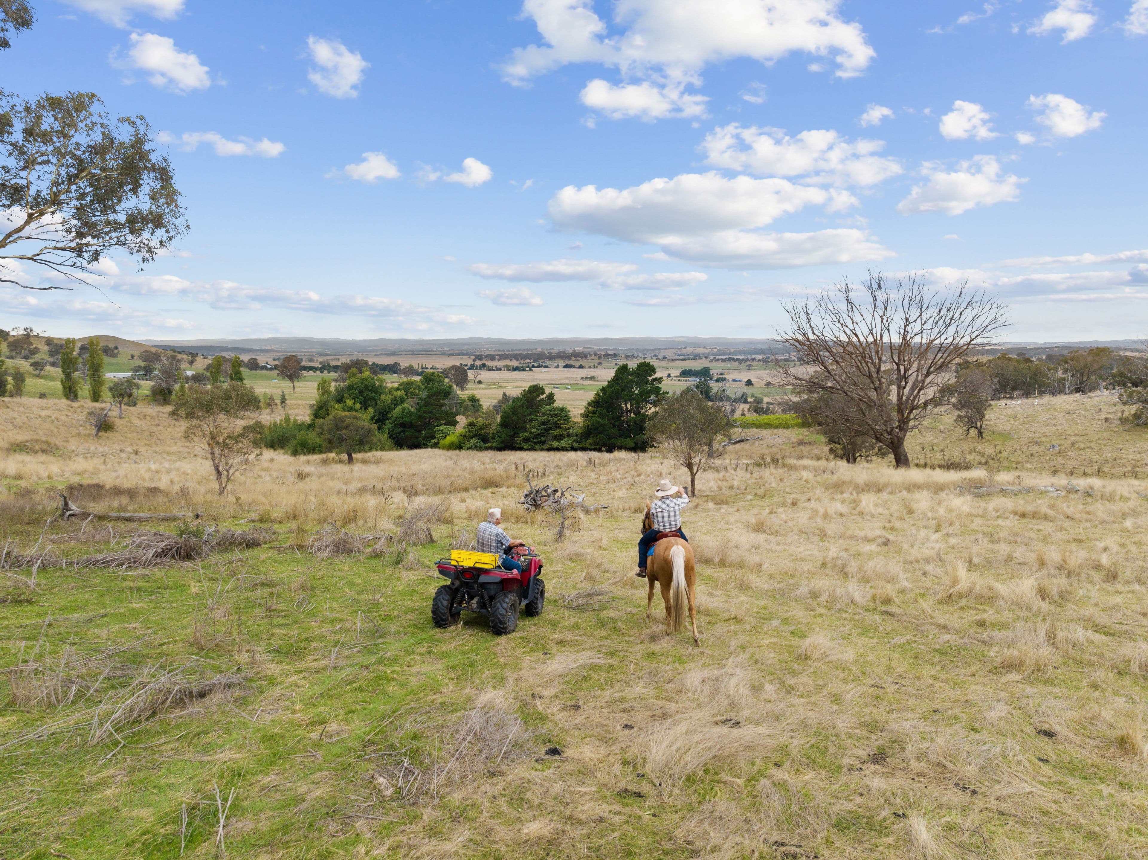 "The Ranch" 42 Casey Close, Sutton NSW 2620, Sutton - Thumbnail 4