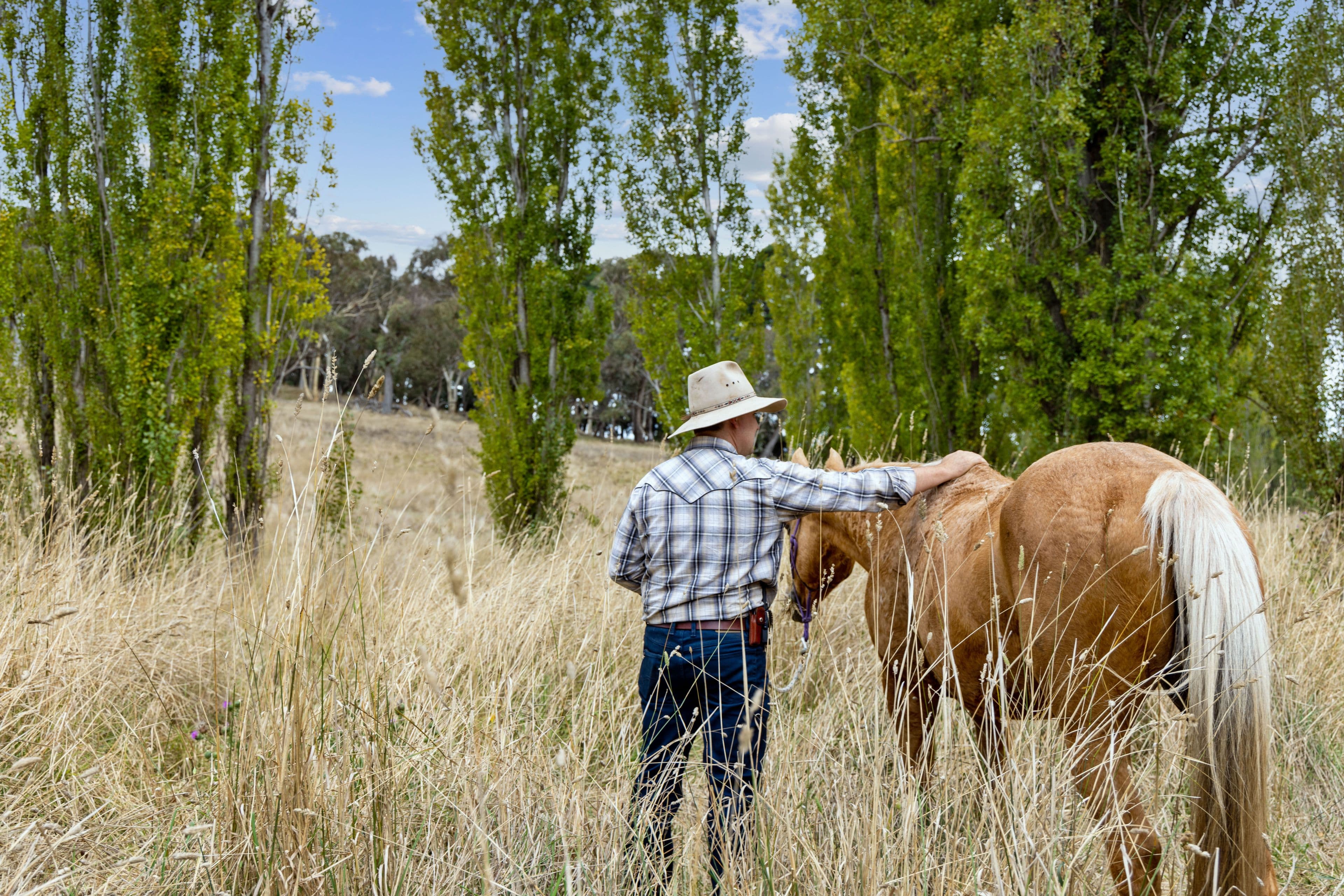 "The Ranch" 42 Casey Close, Sutton NSW 2620, Sutton - Thumbnail 5