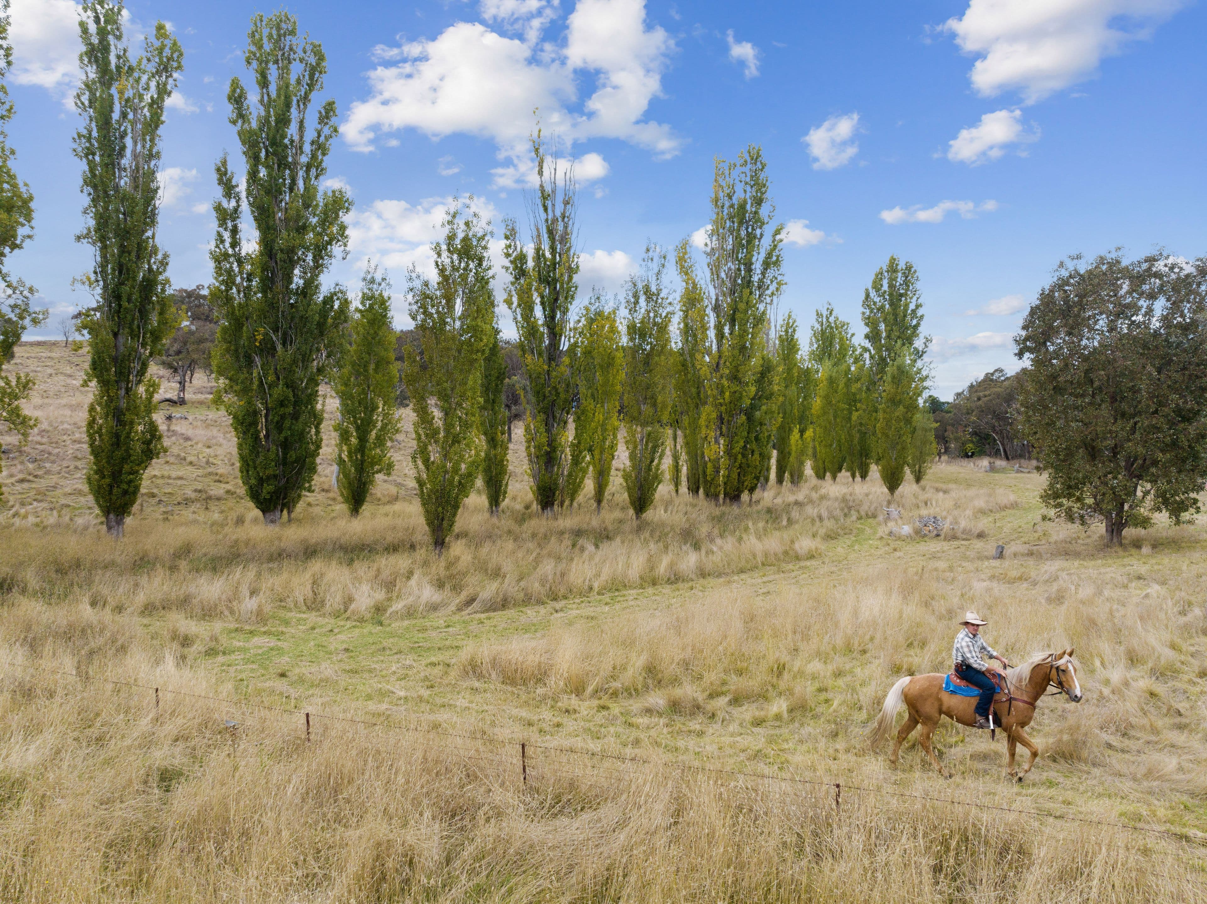 "The Ranch" 42 Casey Close, Sutton NSW 2620, Sutton - Thumbnail 8