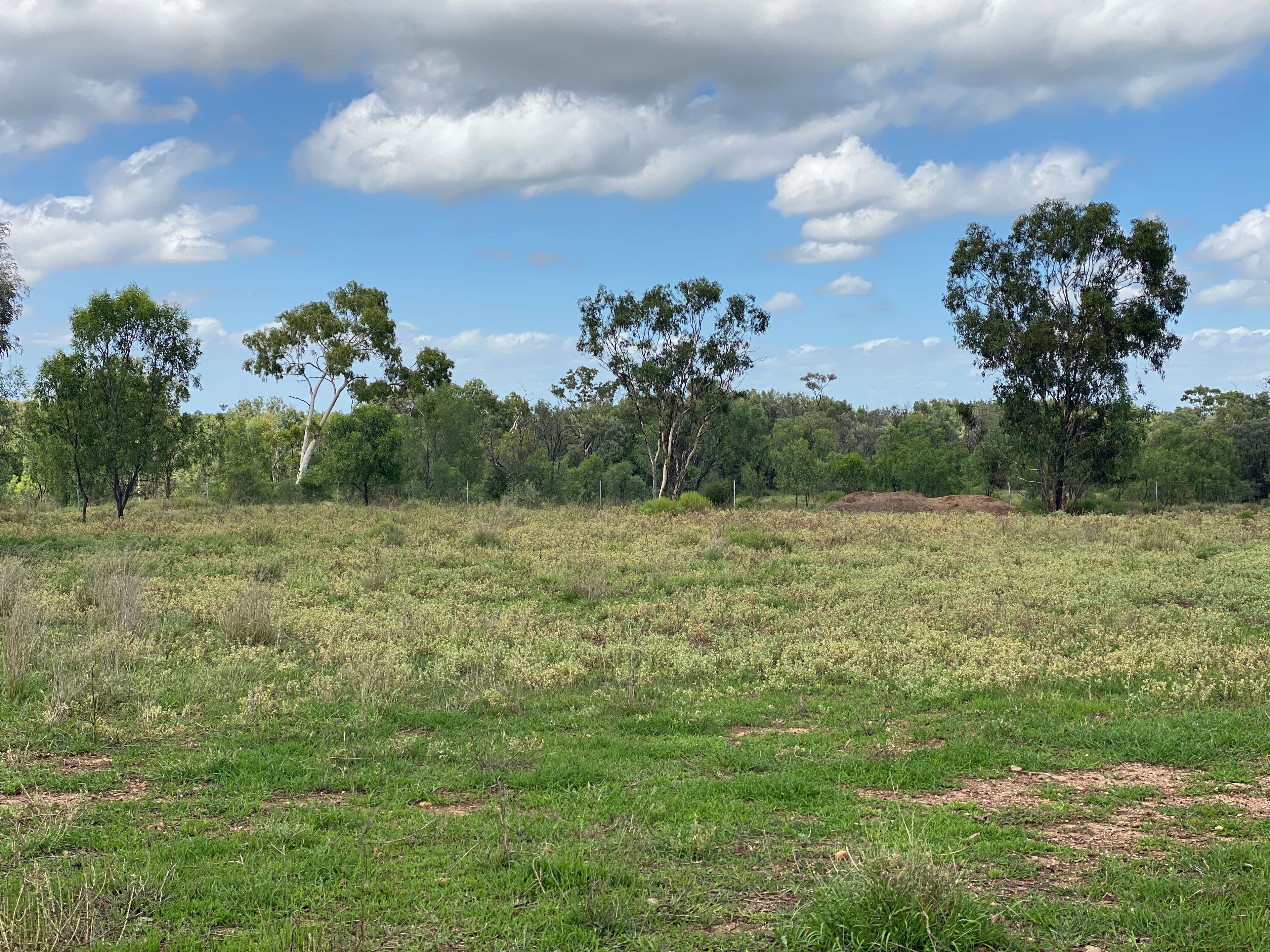37 Patanga Place, Emerald QLD 4720, Emerald - Image 1