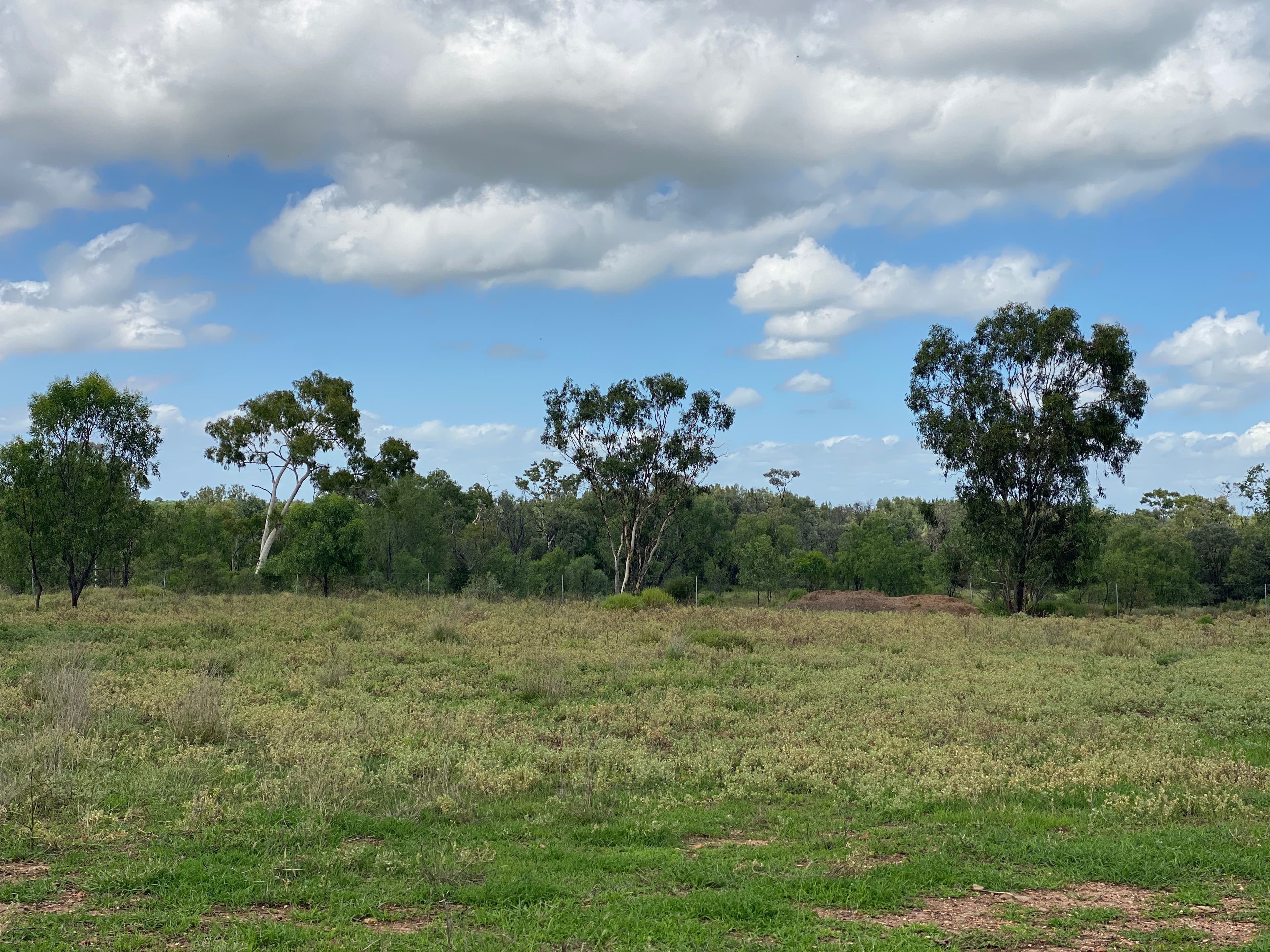 37 Patanga Place, Emerald QLD 4720, Emerald - Thumbnail 2