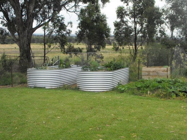 364 Condobolin Road, PARKES NSW 2870, Parkes - Thumbnail 6