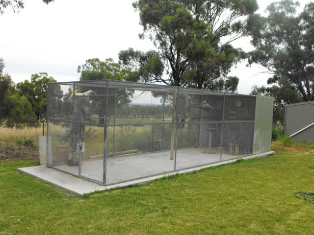 364 Condobolin Road, PARKES NSW 2870, Parkes - Thumbnail 8