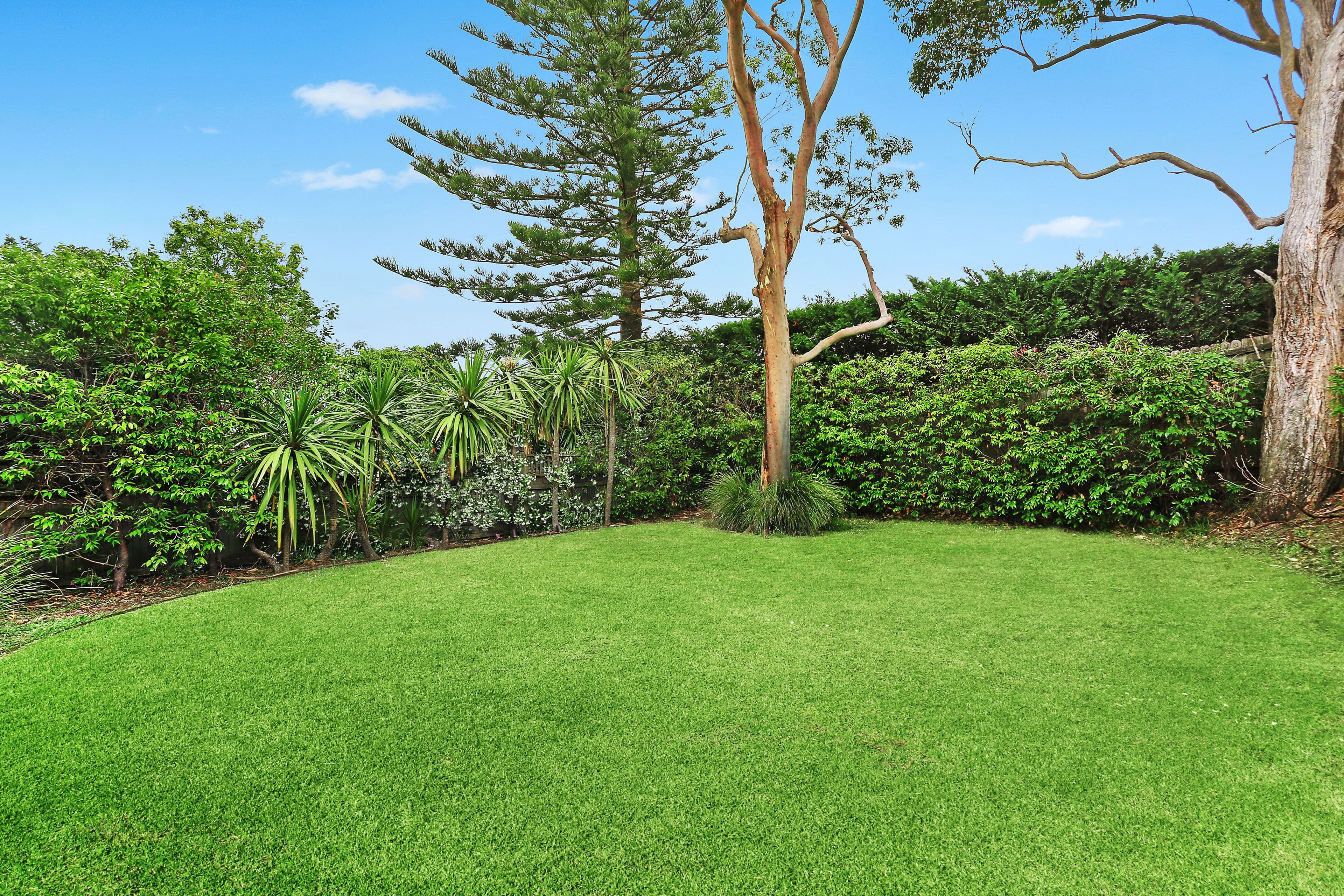 6 Rivers Street, Bellevue Hill - Thumbnail 7
