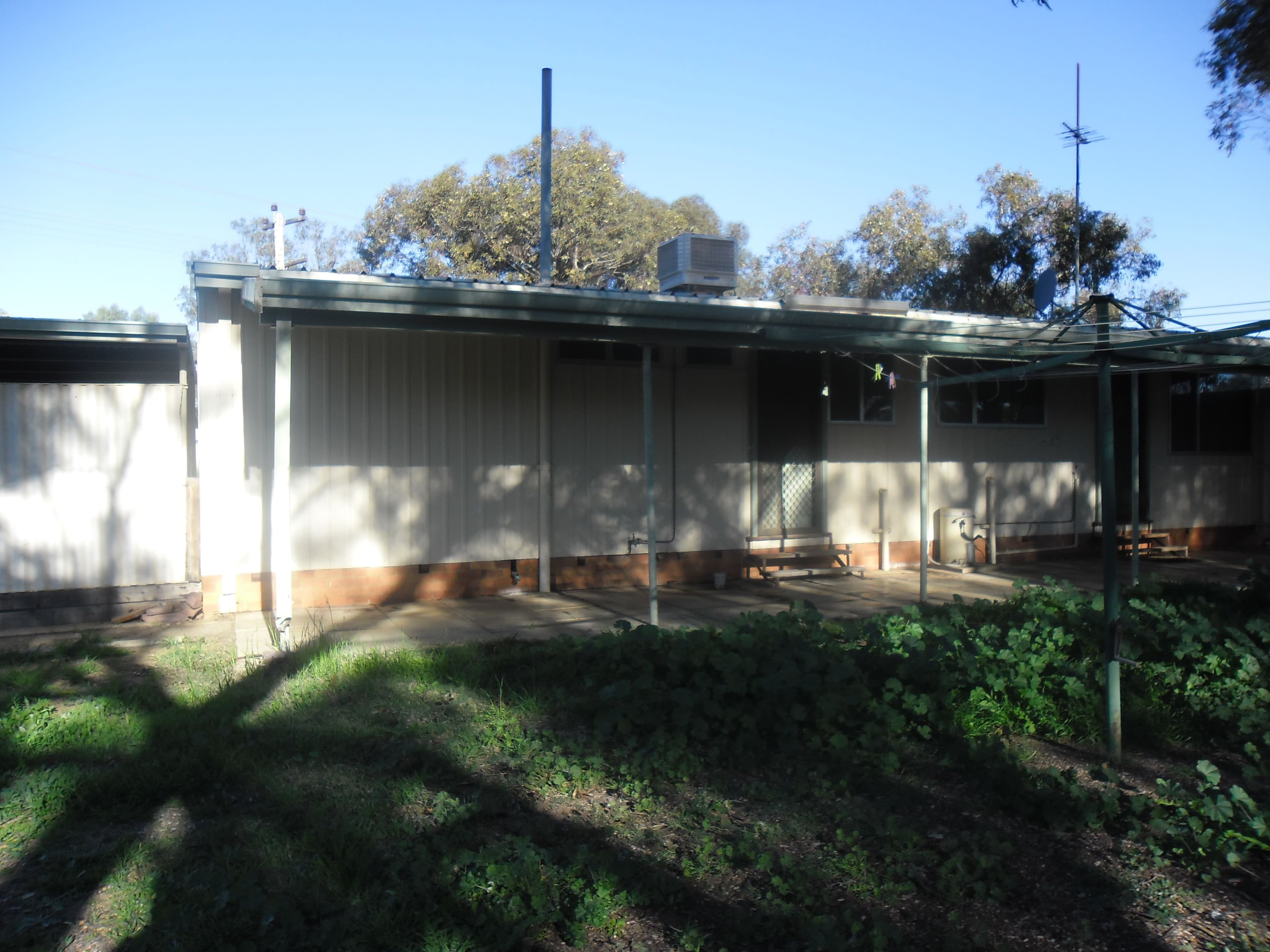 5 TOUCHE Street, Three Springs WA 6519, Three Springs - Thumbnail 3