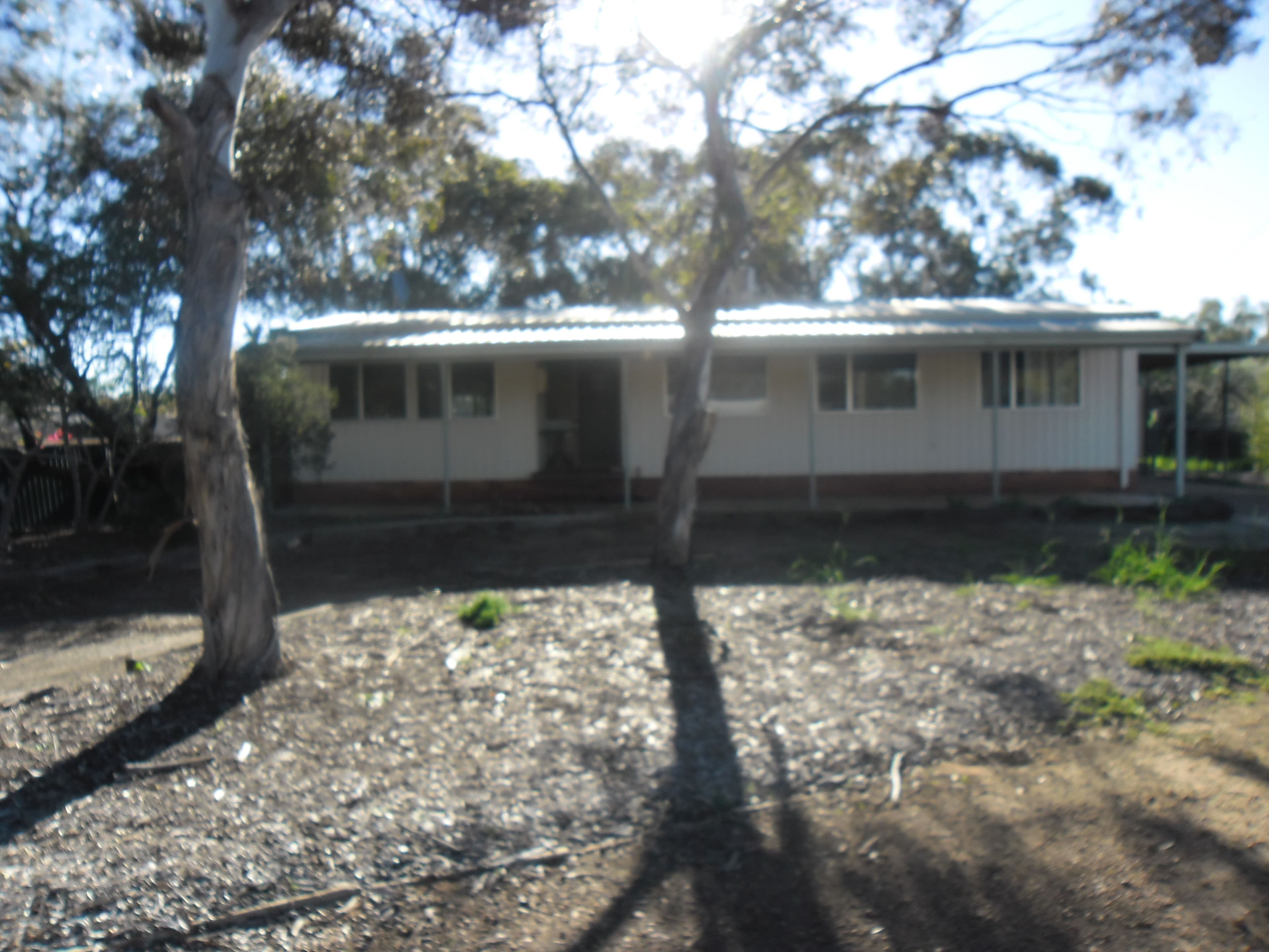 5 TOUCHE Street, Three Springs WA 6519, Three Springs - Thumbnail 5