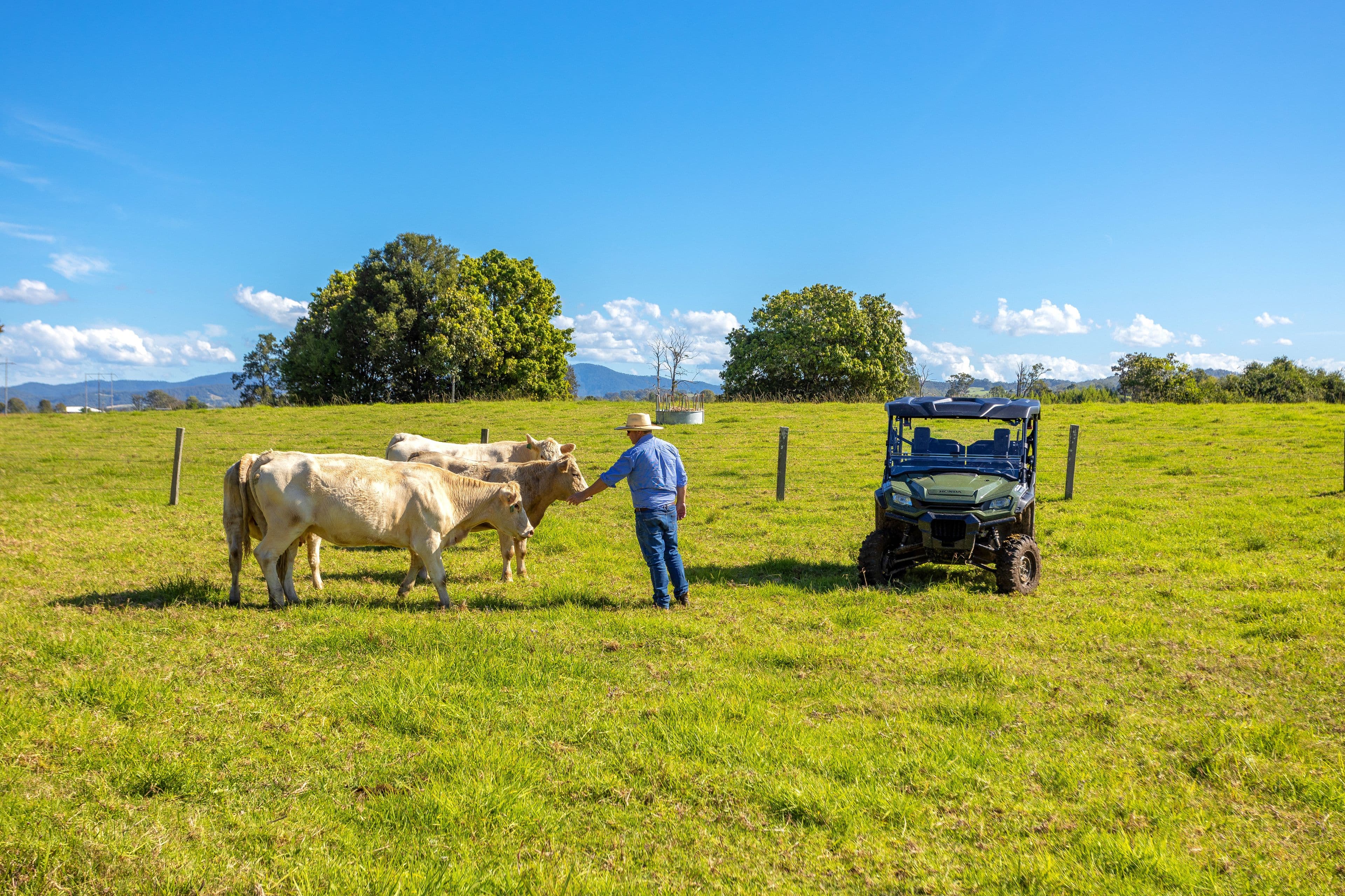 42 Ritchie Crescent, Taree NSW 2430, Taree - Thumbnail 2
