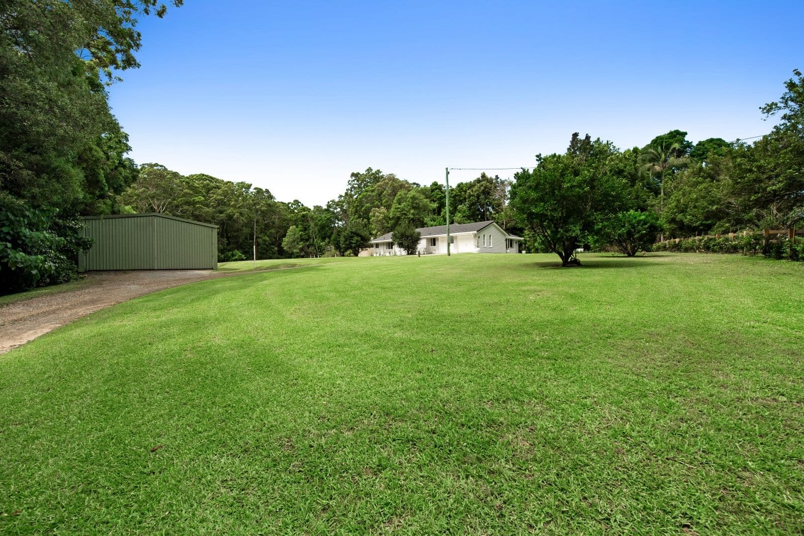 149 Winston Road, Palmwoods QLD 4555, Palmwoods - Thumbnail 3