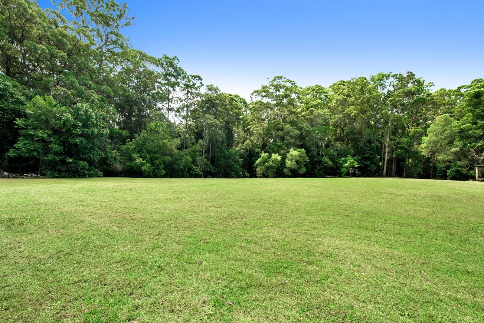 149 Winston Road, Palmwoods QLD 4555, Palmwoods - Thumbnail 4