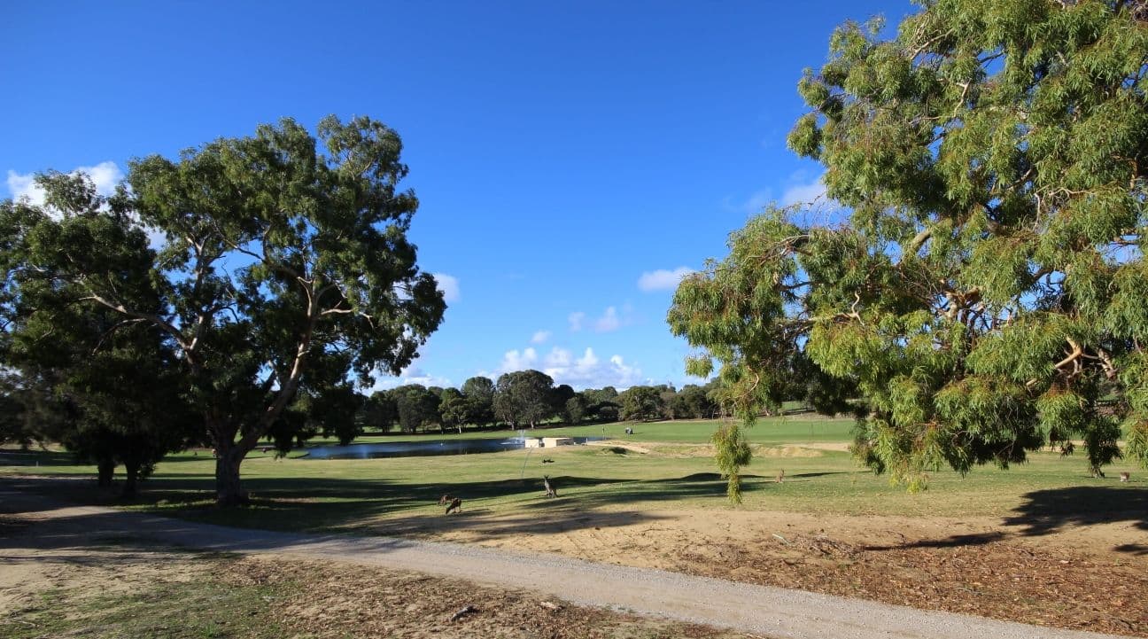 56 ST ANDREWS Drive, YANCHEP WA 6035, Yanchep - Thumbnail 3