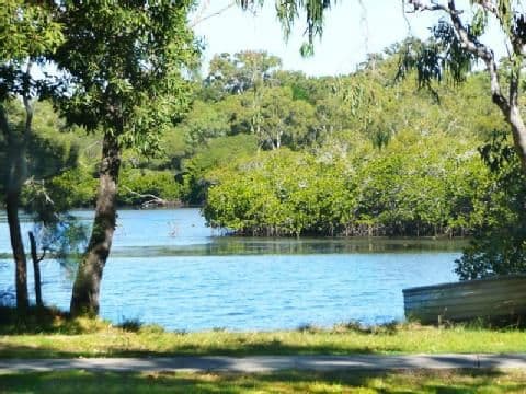 152 Noosa Parade, Noosaville QLD 4566, Noosaville - Thumbnail 3