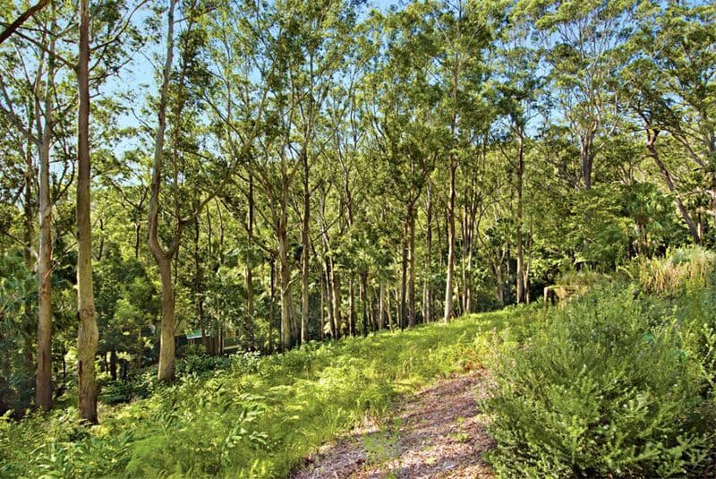 22-28 Domville Road, OTFORD NSW 2508, Otford - Thumbnail 3