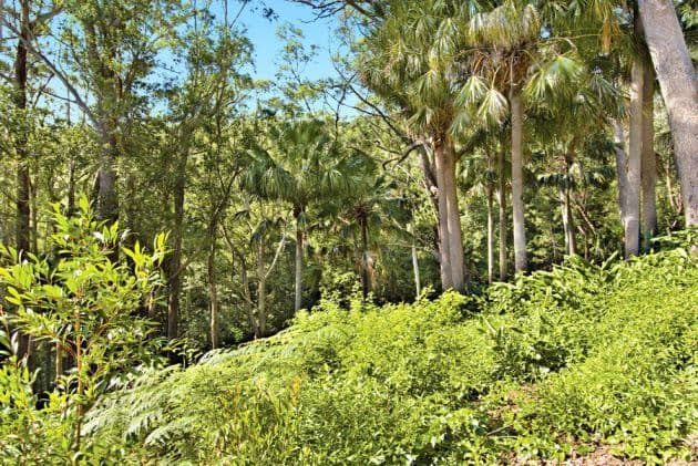 22-28 Domville Road, OTFORD NSW 2508, Otford - Thumbnail 4