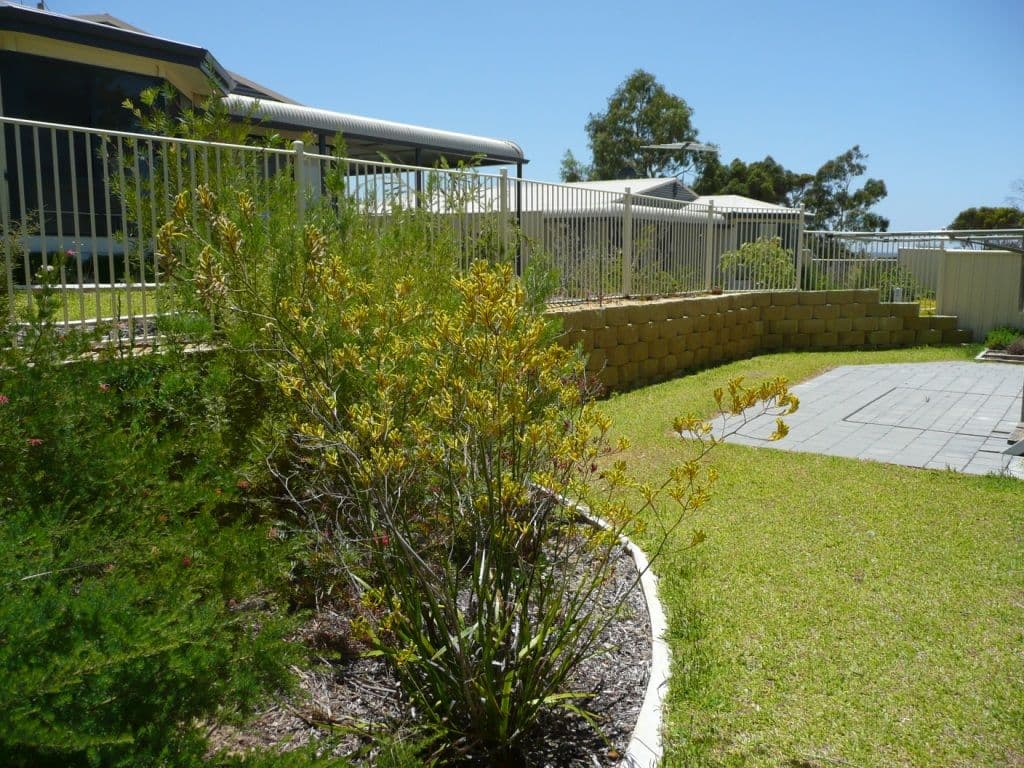 79 Spence Street, Ravensthorpe WA 6346, Ravensthorpe - Thumbnail 3