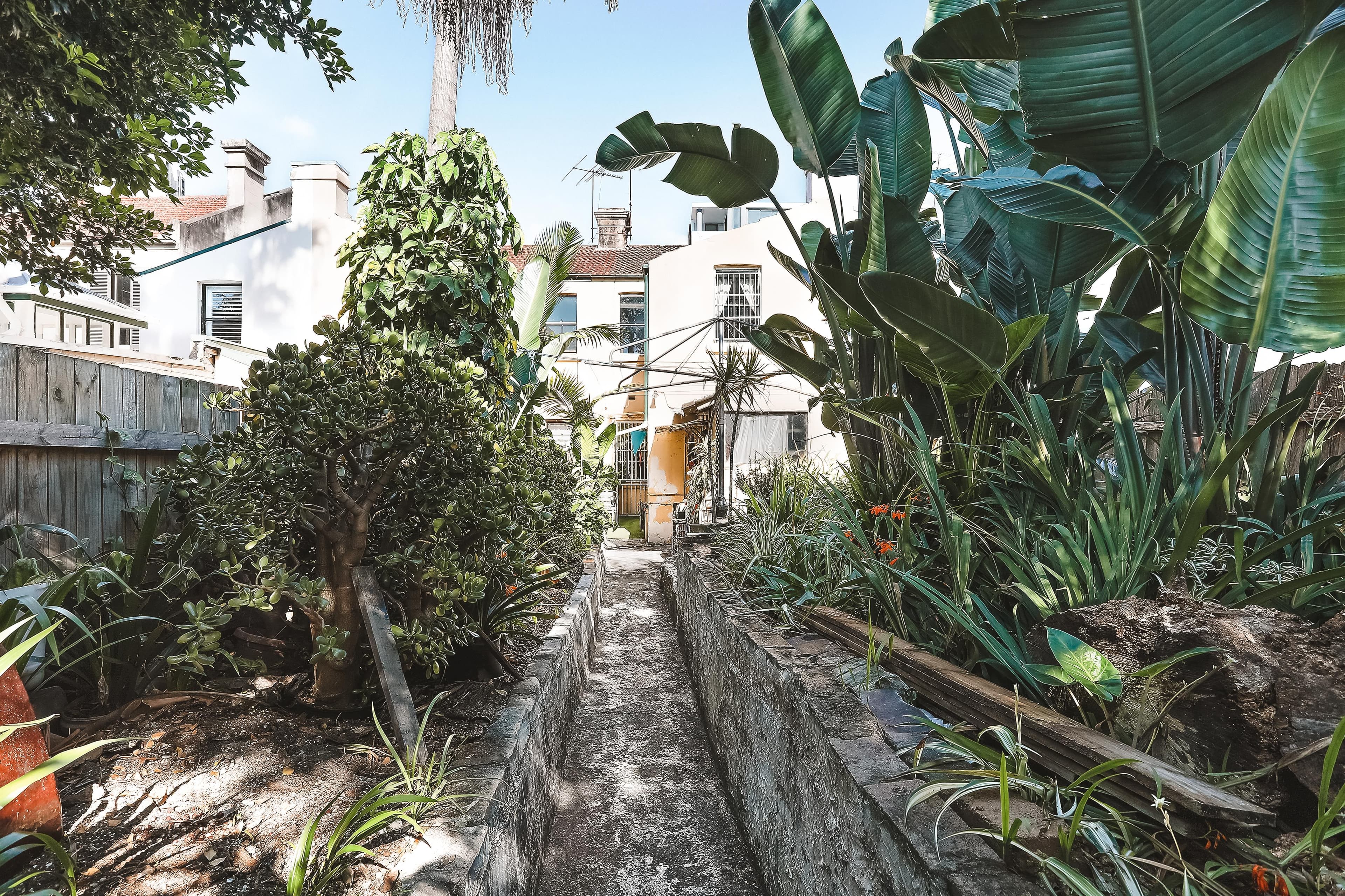 169 Pitt Street, Redfern NSW 2016, Redfern - Thumbnail 8