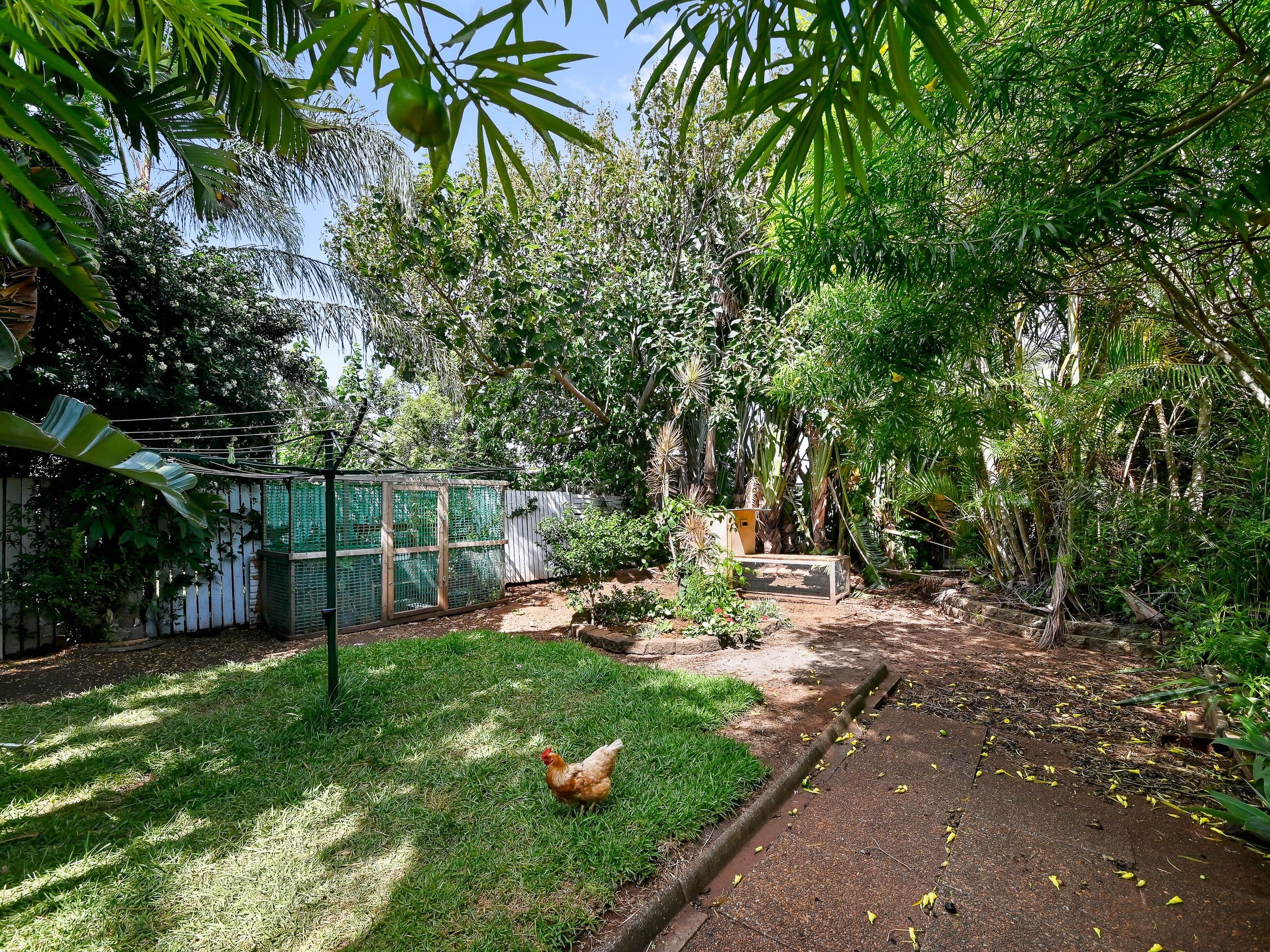 569 Oxley Avenue, Scarborough QLD 4020, Scarborough - Thumbnail 4