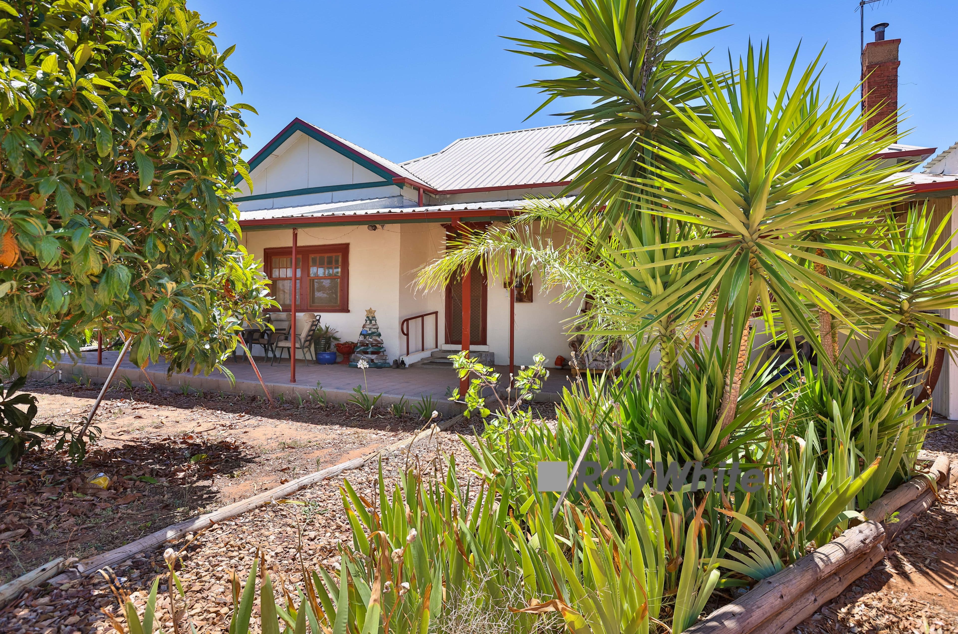 229 Carwarp Avenue, Irymple VIC 3498, Irymple - Image 1