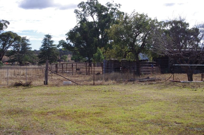 1273 Nullamanna Road, INVERELL NSW 2360, Inverell - Thumbnail 6