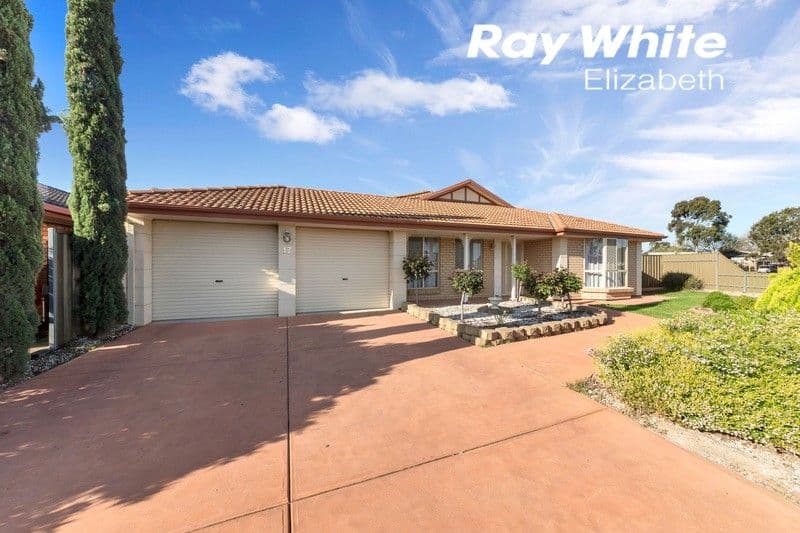 17 Premier Close, Andrews Farm SA 5114, Andrews Farm - Thumbnail 2