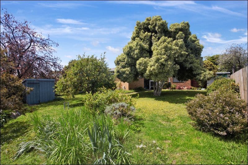 351 Springfield Road, NUNAWADING VIC 3131, Nunawading - Thumbnail 4