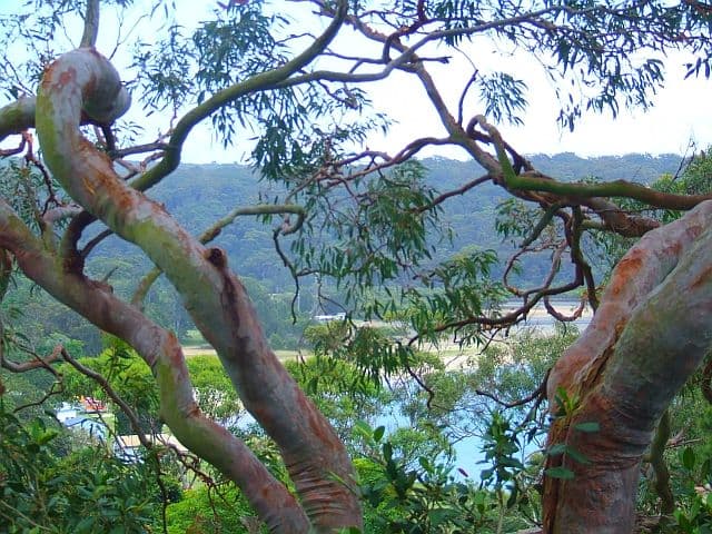 19 Kerr Avenue, BUNDEENA NSW 2230, Bundeena - Thumbnail 3
