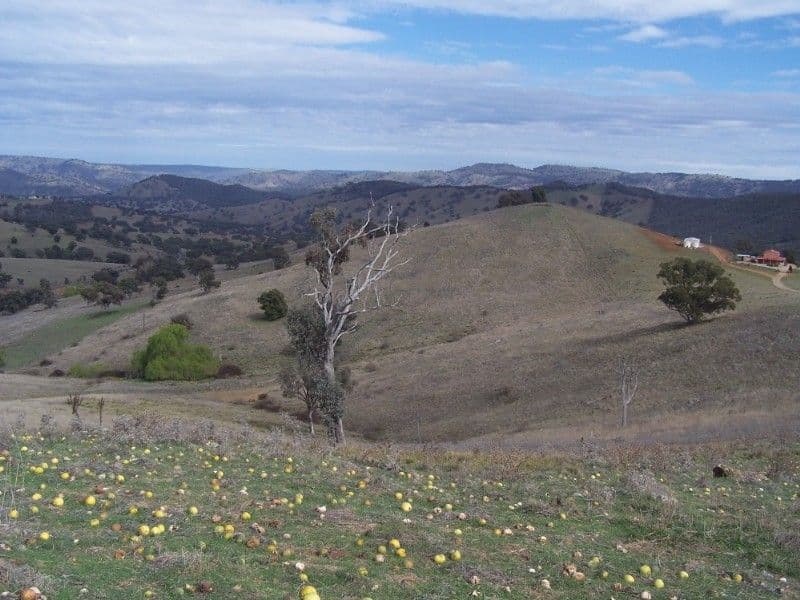 27 Estuary View, Inverloch VIC 3996, Inverloch - Thumbnail 5