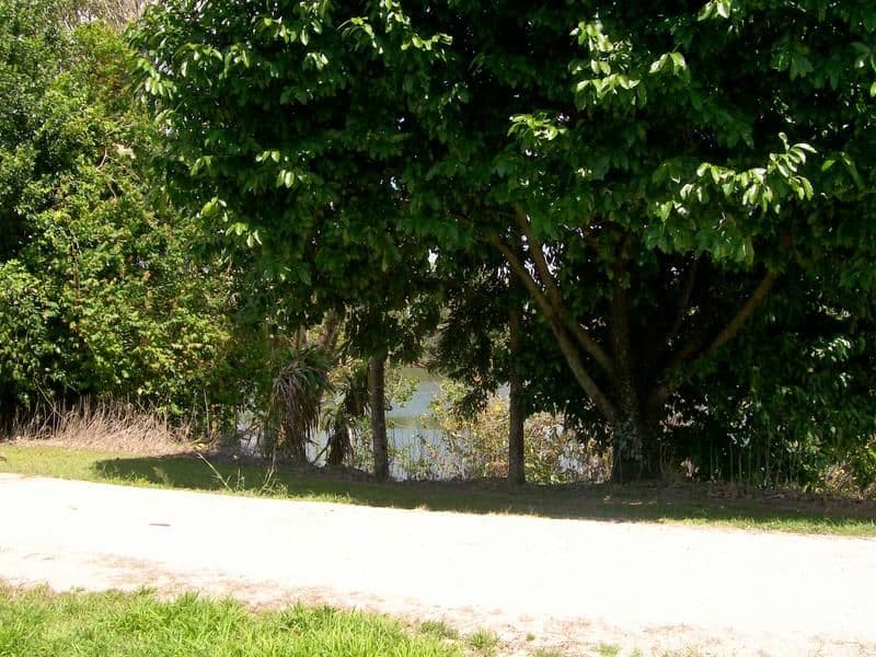 1 Turner Street, INNISFAIL QLD 4860, South Innisfail - Thumbnail 3