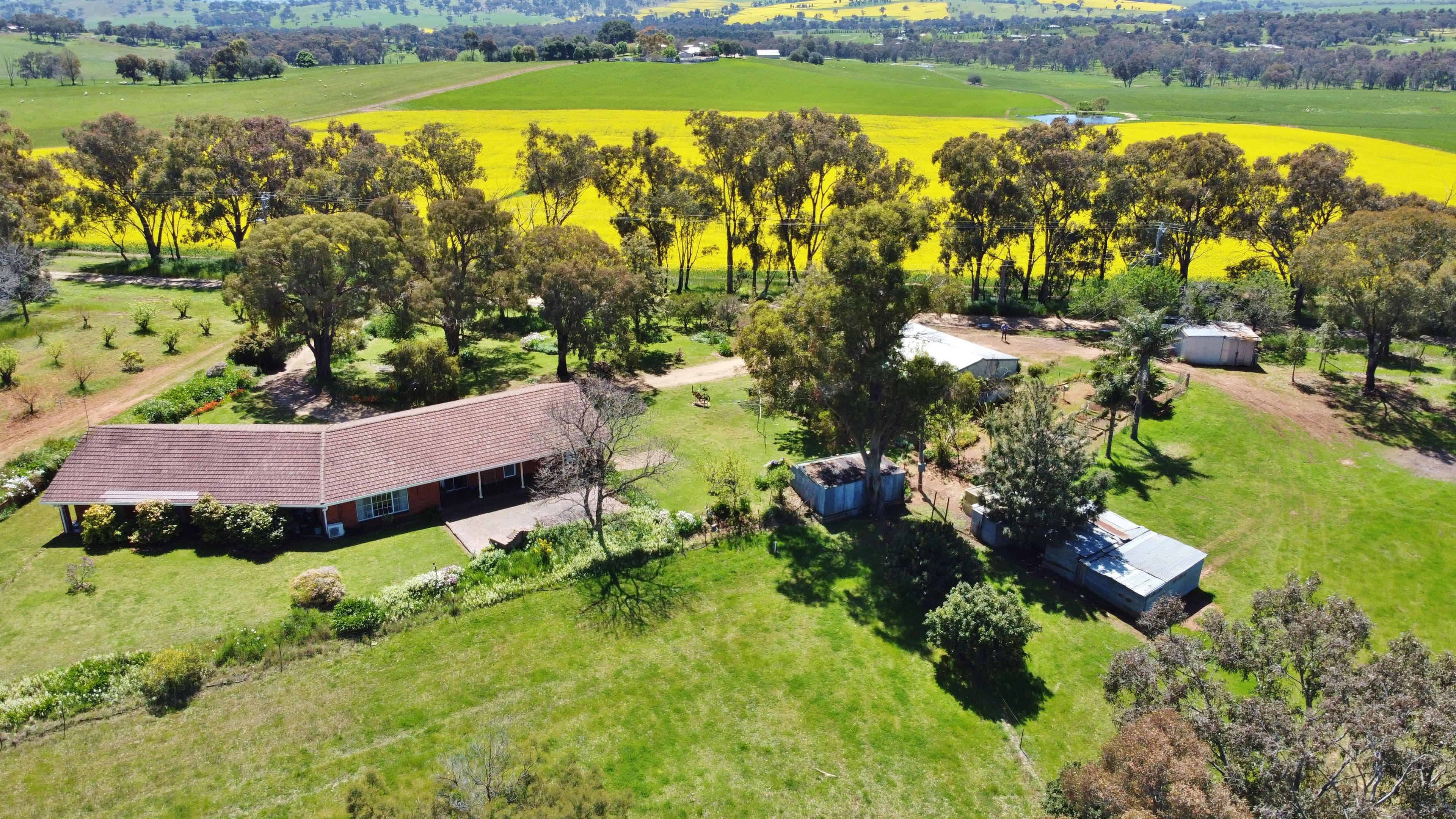 26 Reynolds Lane, Young NSW 2594, Young - Image 1