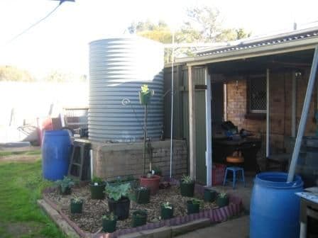 37 Wilkins Road, ELIZABETH DOWNS SA 5113, Elizabeth Downs - Thumbnail 5