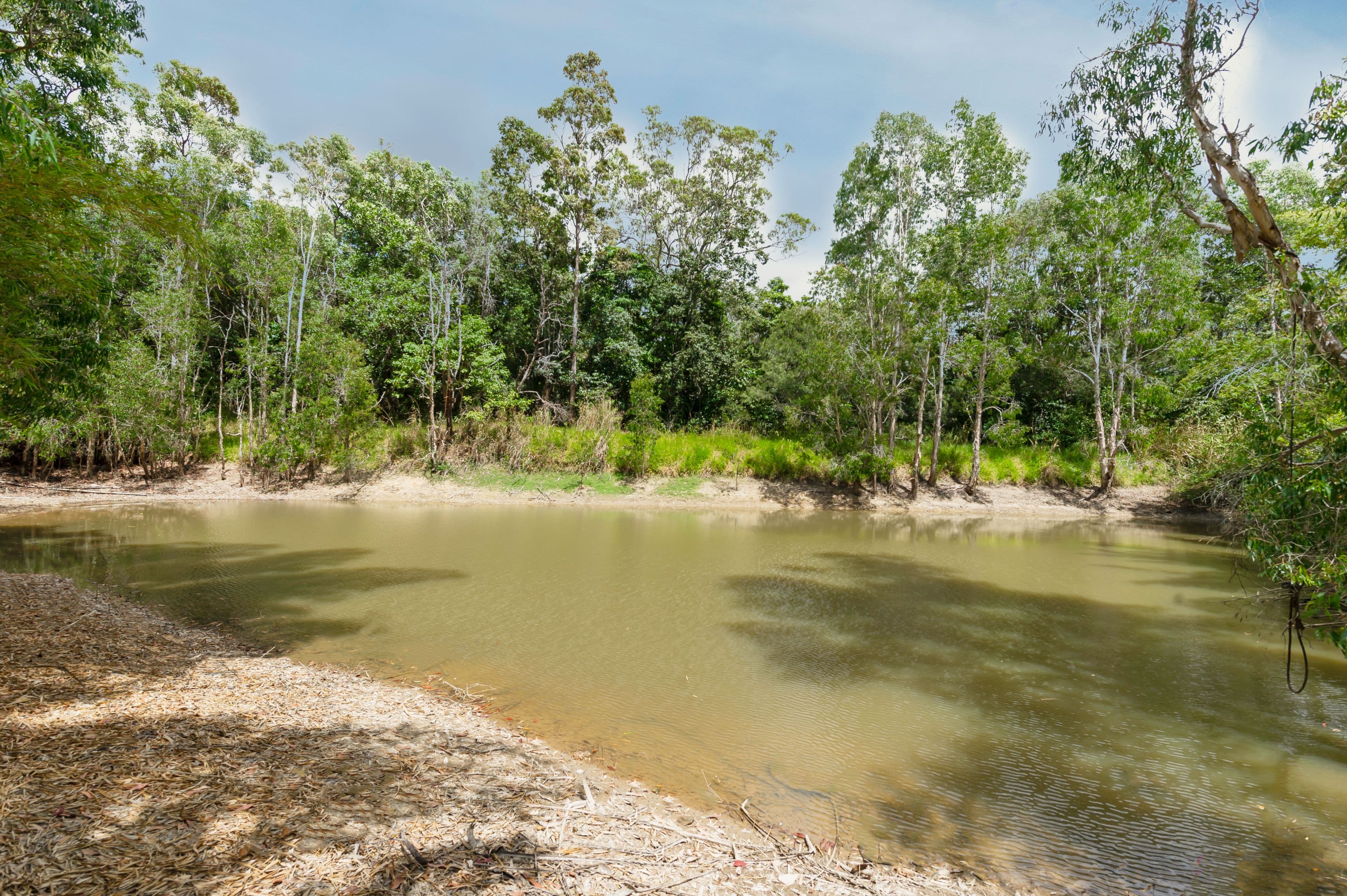 65 Stevens Road, Julatten QLD 4871, Julatten - Thumbnail 4