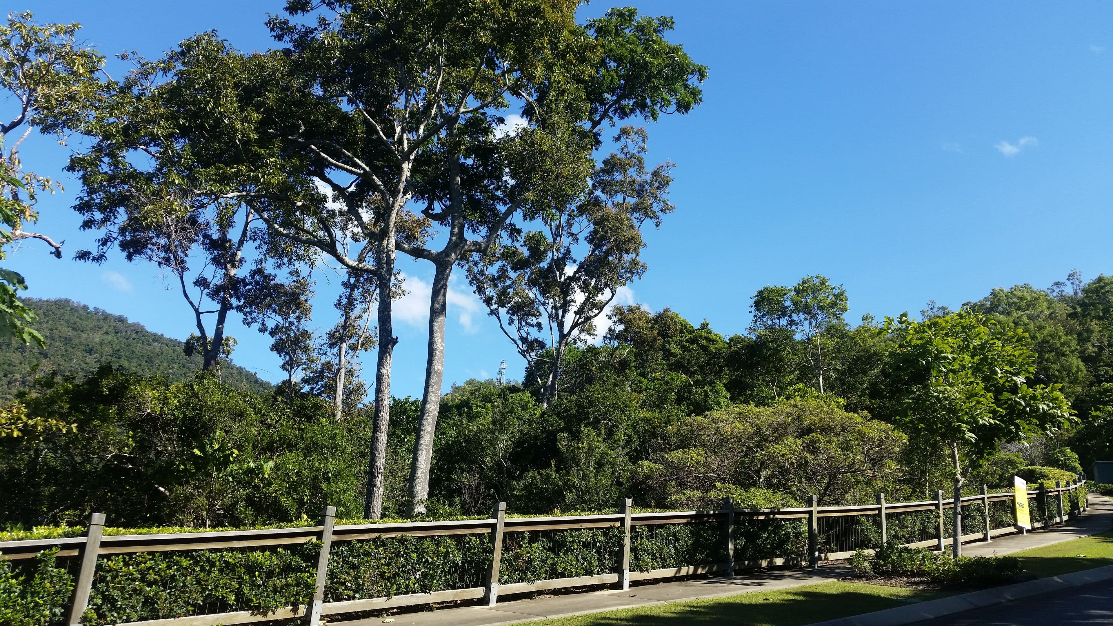 33 Seaview Drive, Airlie Beach QLD 4802, Airlie Beach - Thumbnail 3