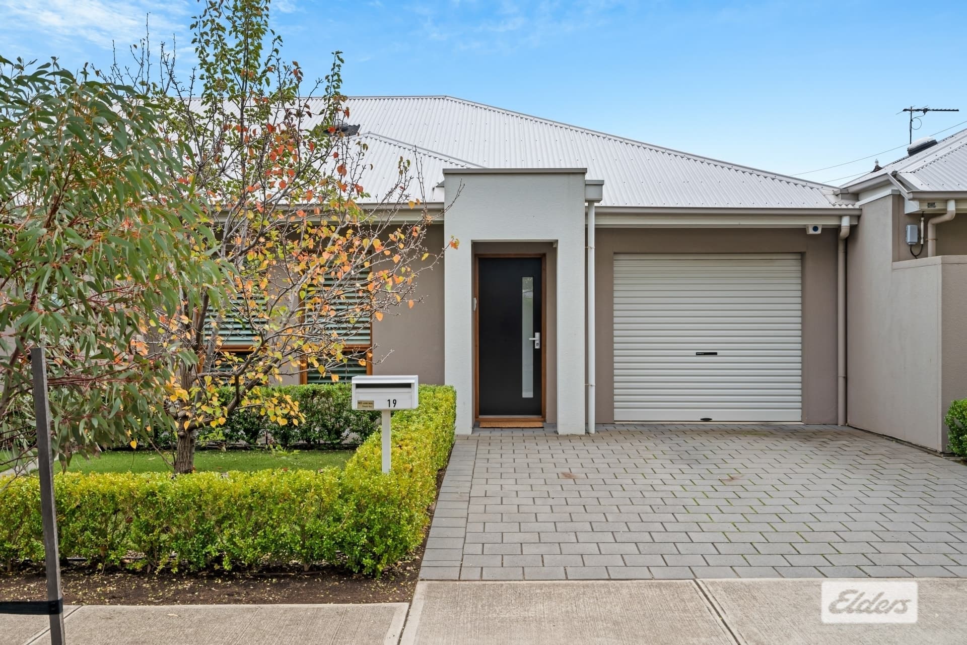 19 Conigrave Street, Oaklands Park - Image 1