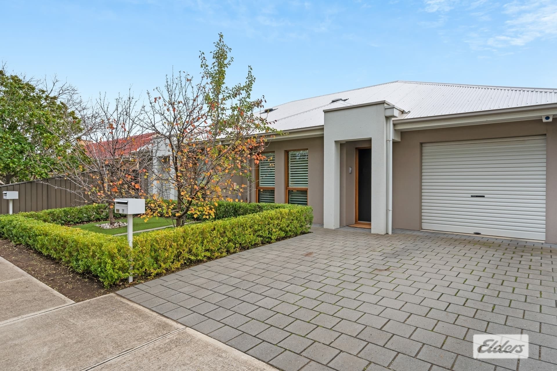 19 Conigrave Street, Oaklands Park - Thumbnail 2