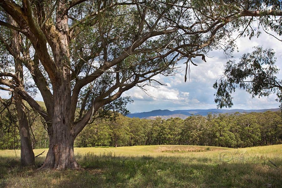 1785 Jenolan Caves Road, Hampton NSW 2790, Hampton - Thumbnail 4