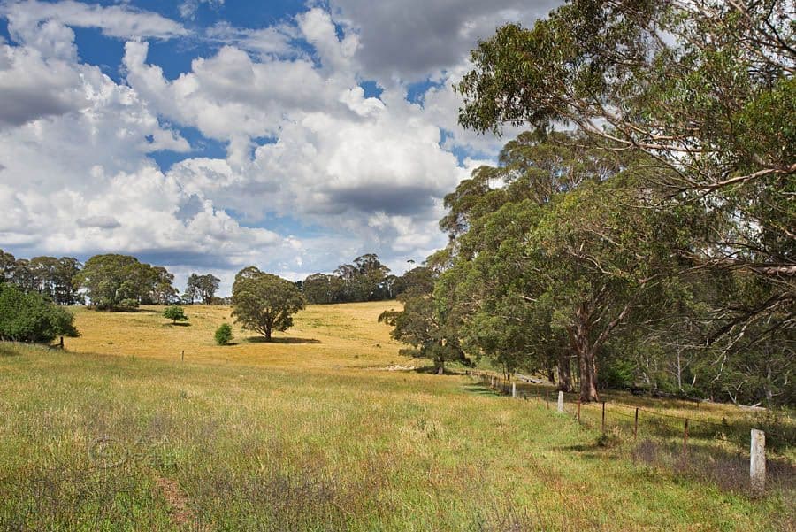 1785 Jenolan Caves Road, Hampton NSW 2790, Hampton - Thumbnail 5