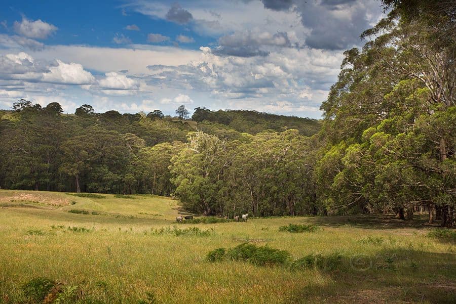 1785 Jenolan Caves Road, Hampton NSW 2790, Hampton - Thumbnail 7