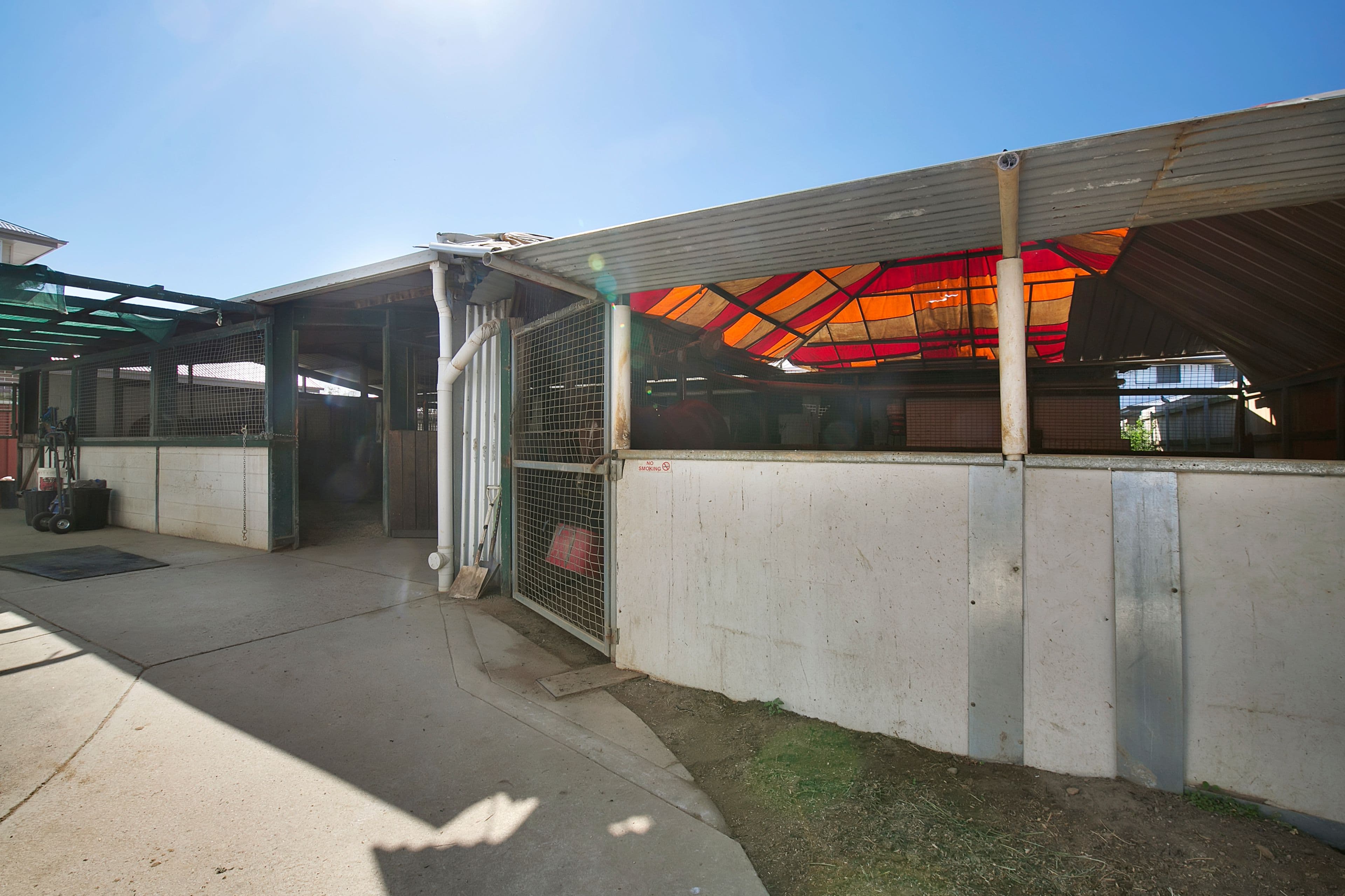 27 Clarke Street, Hendra QLD 4011, Hendra - Thumbnail 6