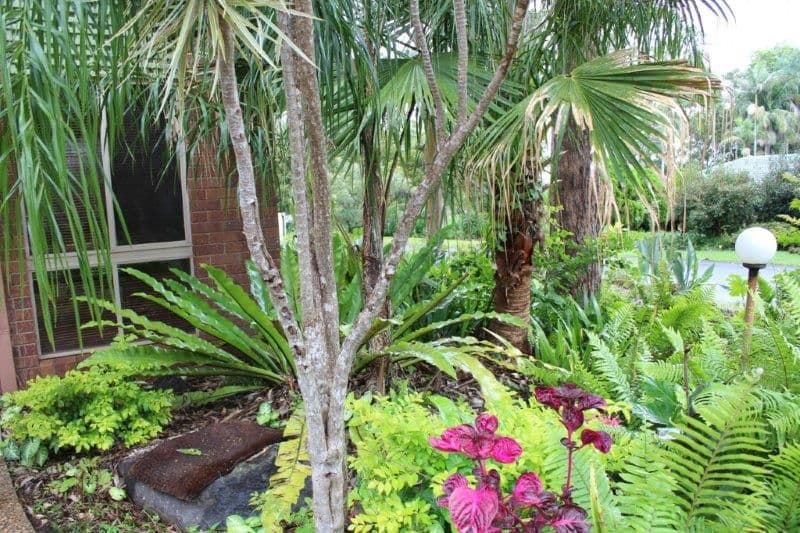 1 Windsor Court, GOONELLABAH NSW 2480, Goonellabah - Thumbnail 2