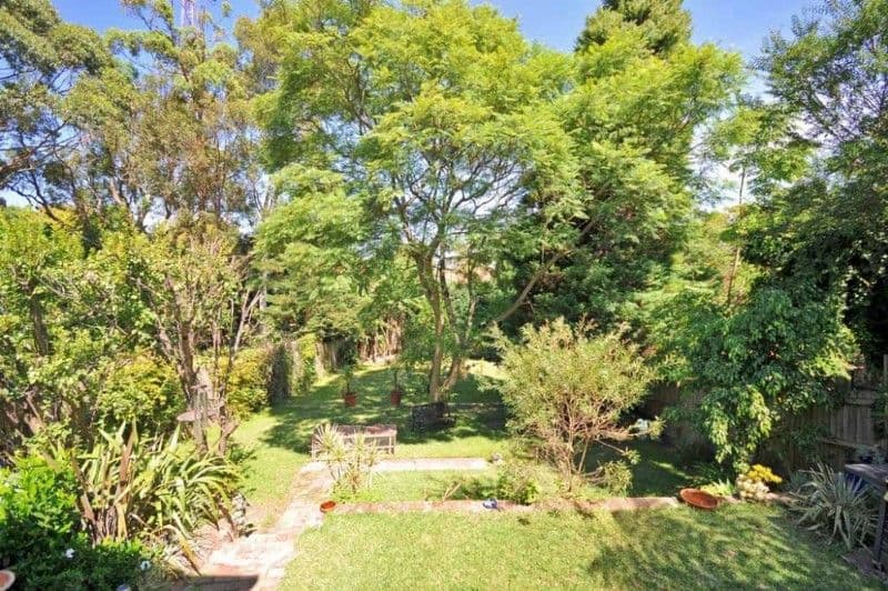 22 Lucknow Street, WILLOUGHBY NSW 2068, Willoughby - Thumbnail 7