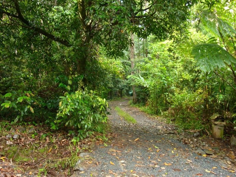 28 Camelot Cl., CAPE TRIBULATION QLD 4873, Cape Tribulation - Thumbnail 2