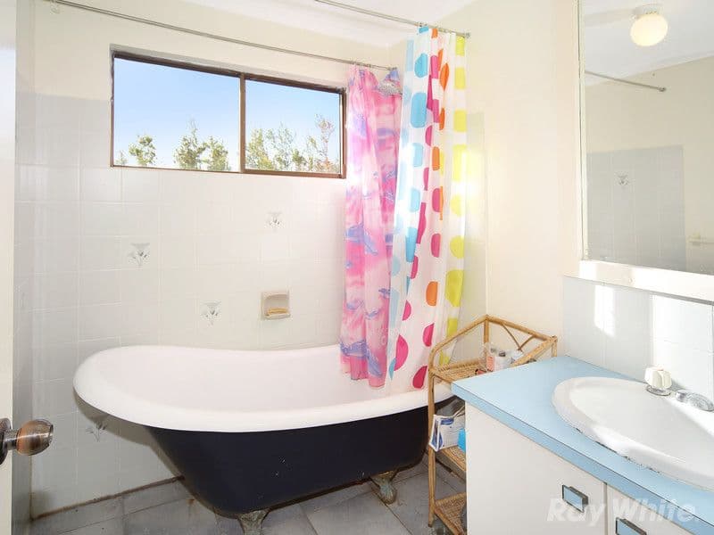 32 Springfield Avenue, Coolum Beach QLD 4573, Coolum Beach - Thumbnail 6