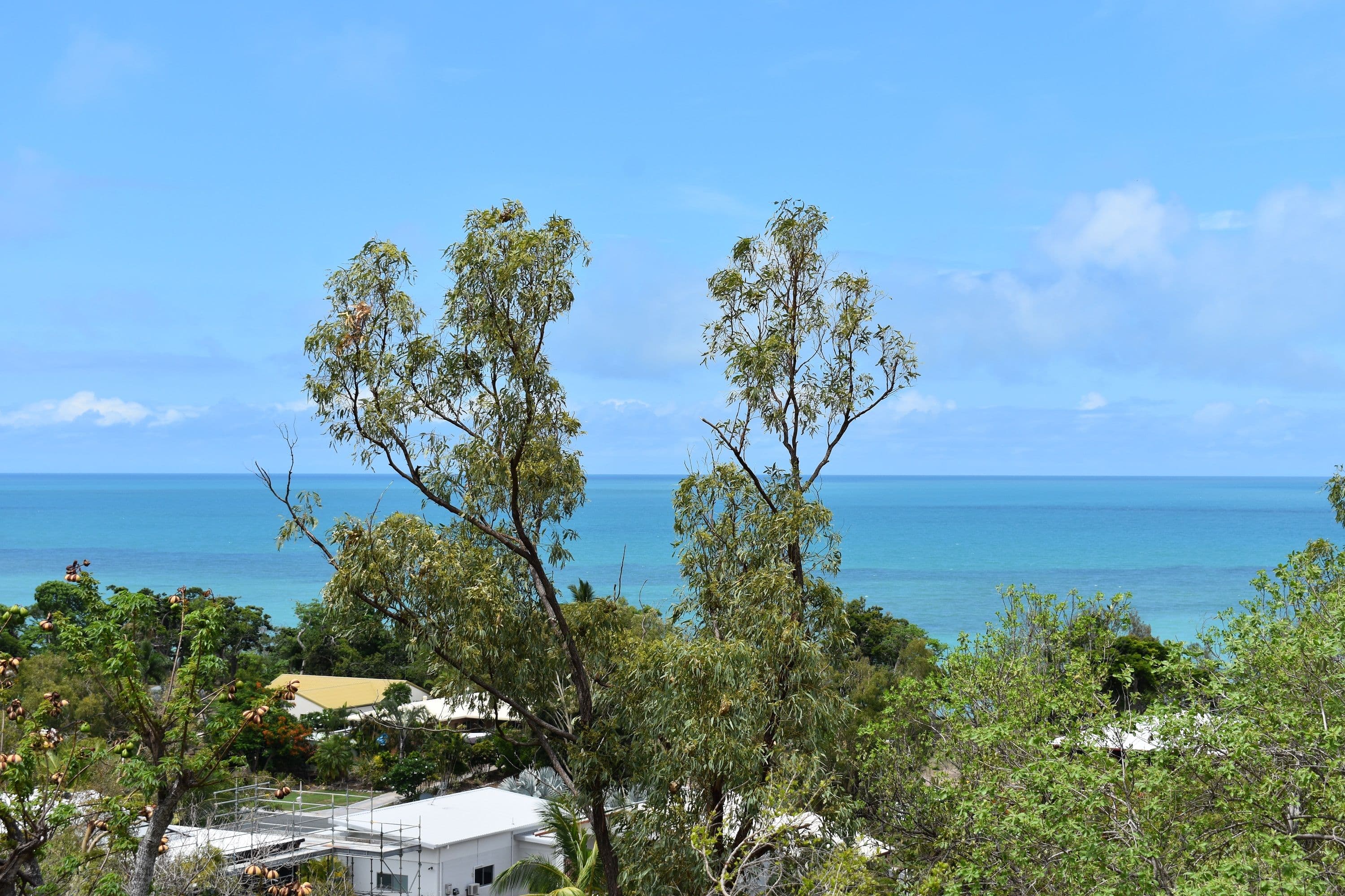 9 Armit Court, Hideaway Bay QLD 4800, Hideaway Bay - Thumbnail 6
