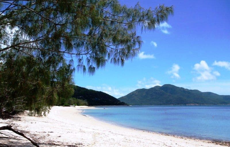 9 Armit Court, Hideaway Bay QLD 4800, Hideaway Bay - Thumbnail 7