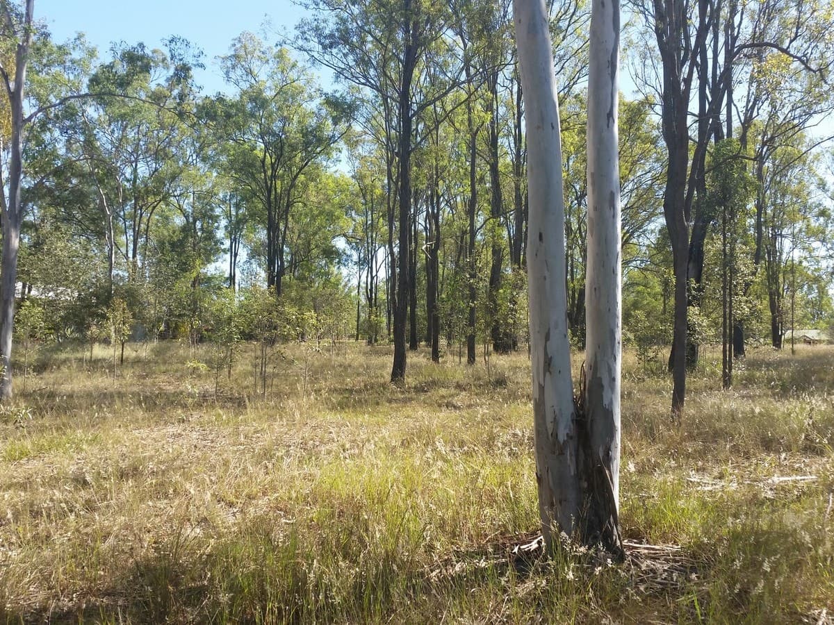 8 Coachwood Court, Brightview QLD 4311, Brightview - Thumbnail 5