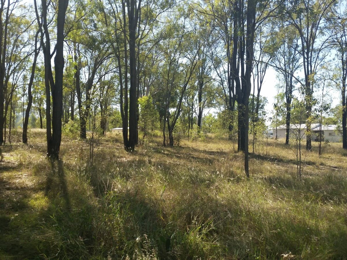 8 Coachwood Court, Brightview QLD 4311, Brightview - Thumbnail 6