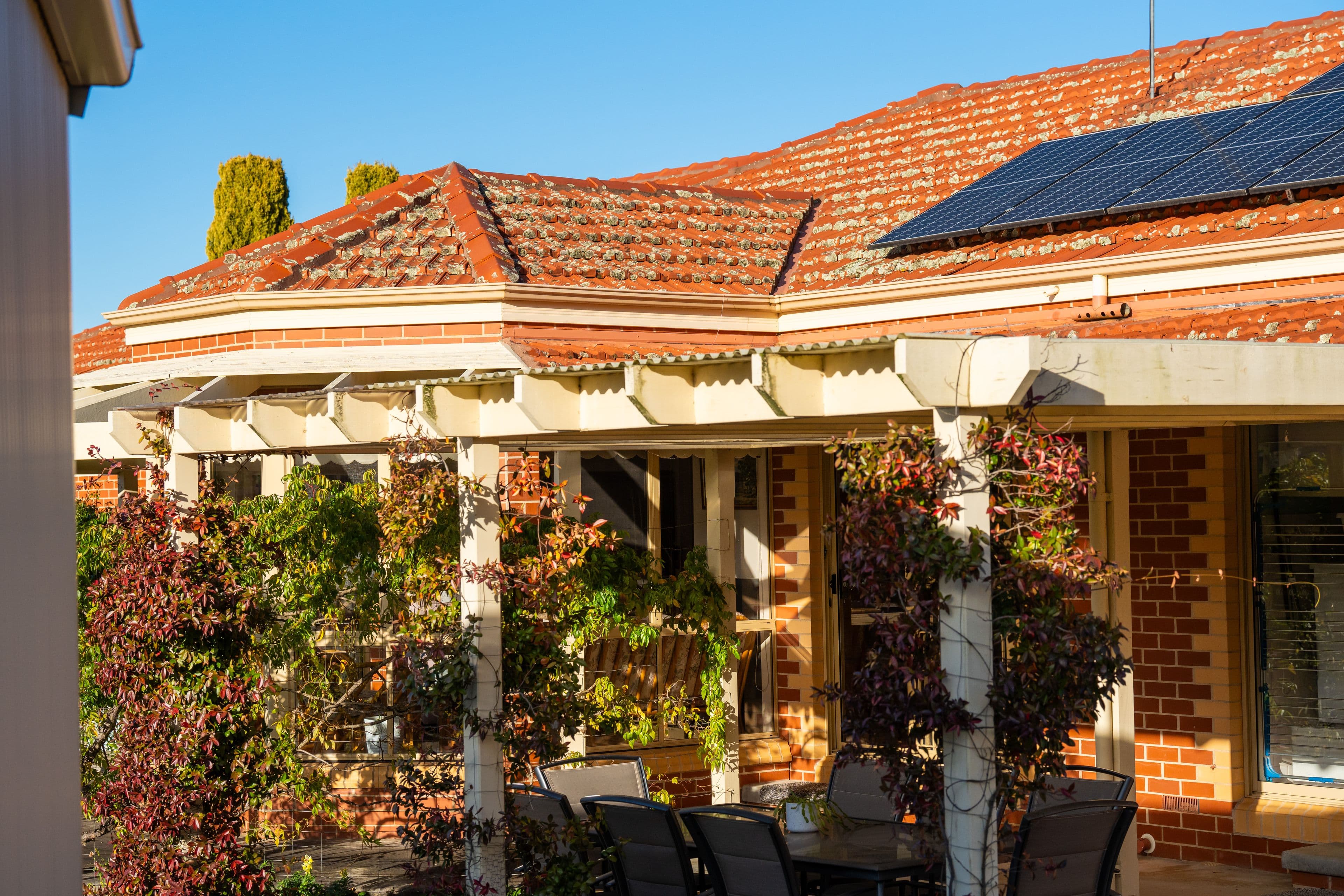 17 The Meadow, Thurgoona NSW 2640, Thurgoona - Thumbnail 2