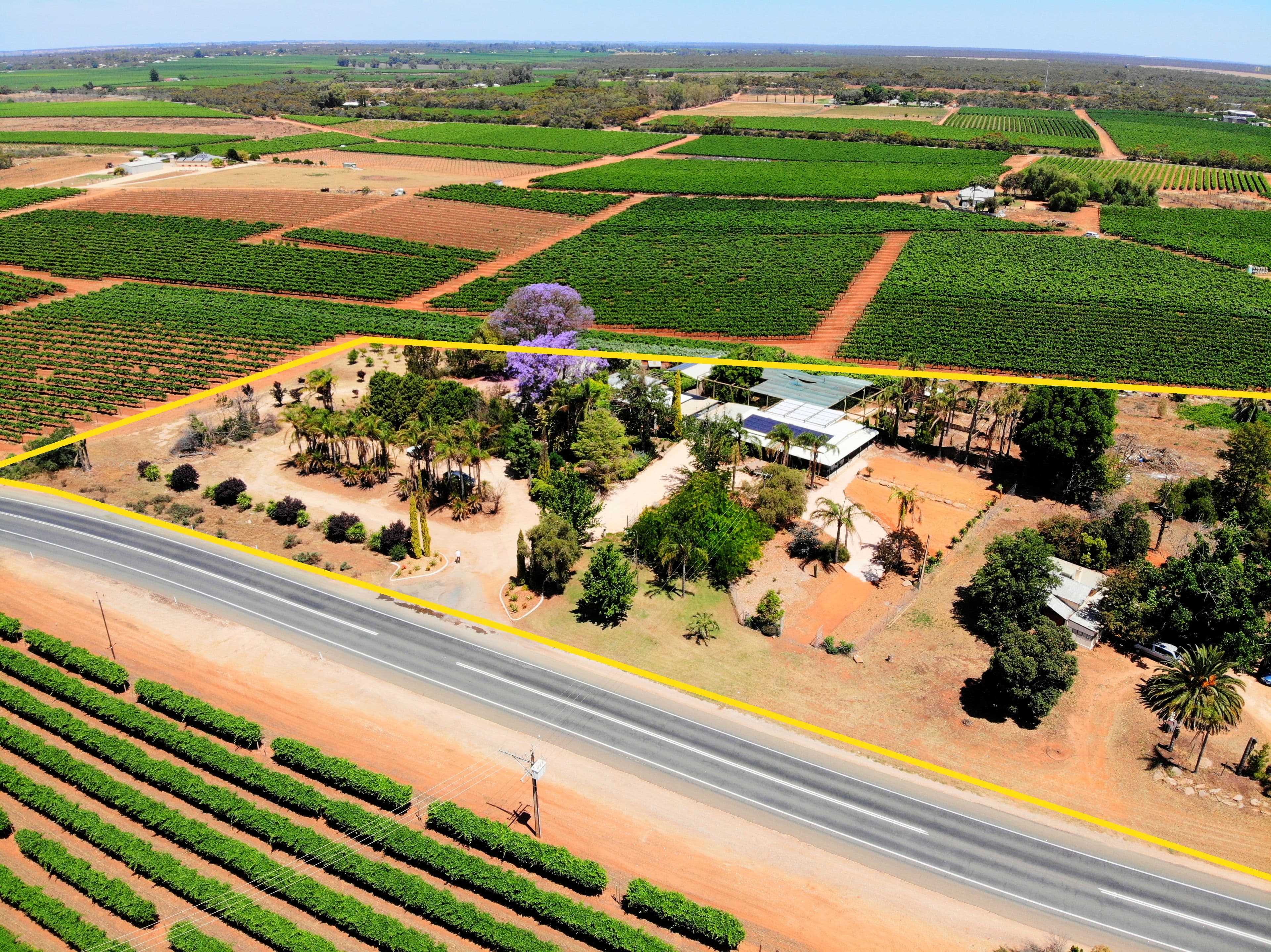142 Old Sturt Highway, Barmera SA 5345, Barmera - Thumbnail 3