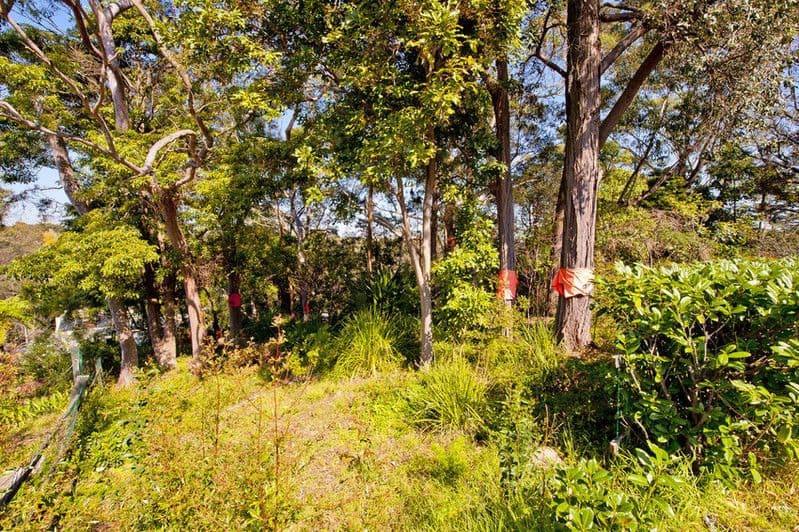 43 Wilfred Avenue, CHATSWOOD NSW 2067, Chatswood - Thumbnail 2